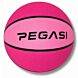 Pegasi Basketball Größe 6 Pulse