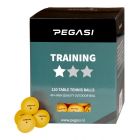 Pegasi 1-Stern Tischtennisbälle 120Stk. Orange