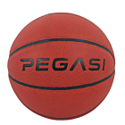Pegasi Basketball Größe 7