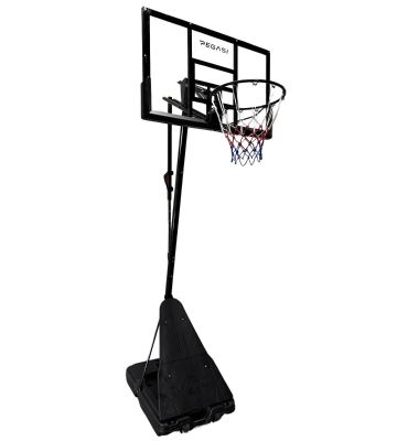 Pegasi Basketballstange Home Pro 2.30 - 3.05
