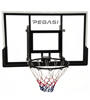 Pegasi Basketballbrett 008 122x82cm