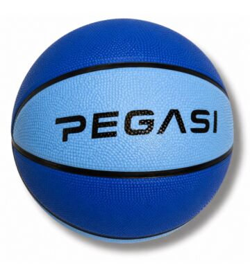 Pegasi Basketball Größe 7 Sky