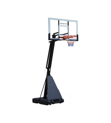 Pegasi Basketballstange Dunk Pro 2,30 - 3,05m