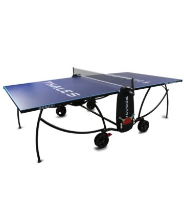 Bedruckte Tischtennisplatte