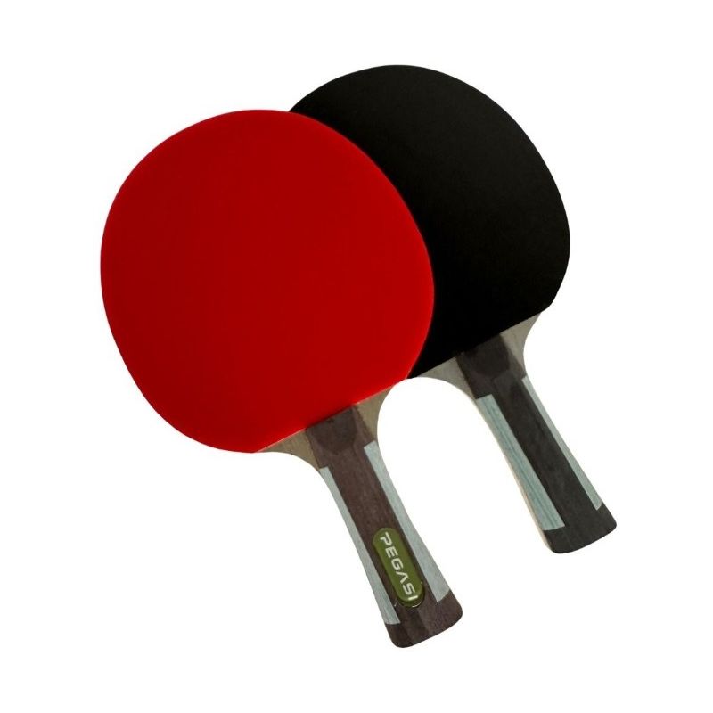 Pegasi Tischtennisschläger 6 Sterne Expert