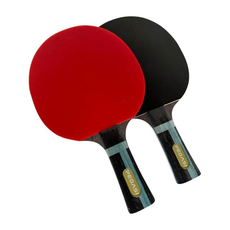 Pegasi Tischtennisschläger 7 Sterne Professional