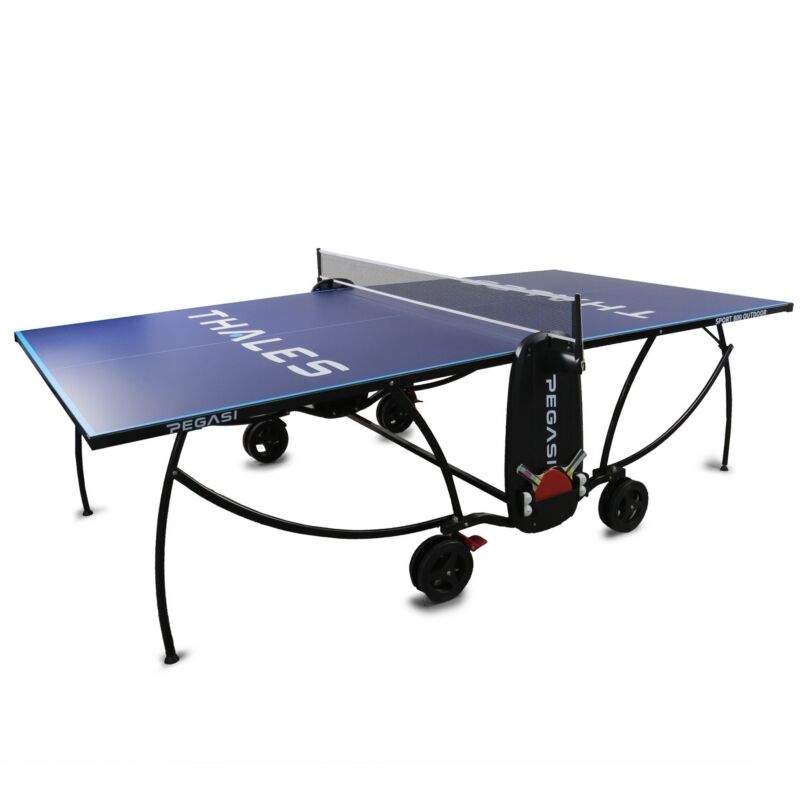 Bedruckte Tischtennisplatte